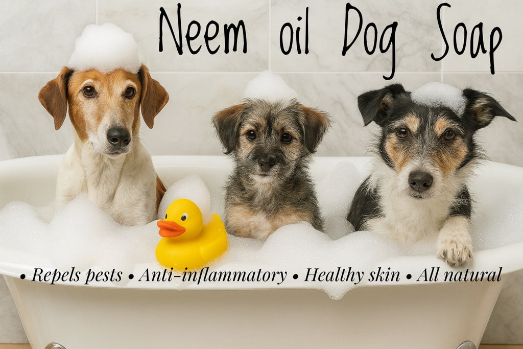 Goats Milk Dog Soap