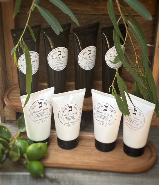 Hand and Body Lotion